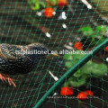 catching bird netting/bird nets for catching birds